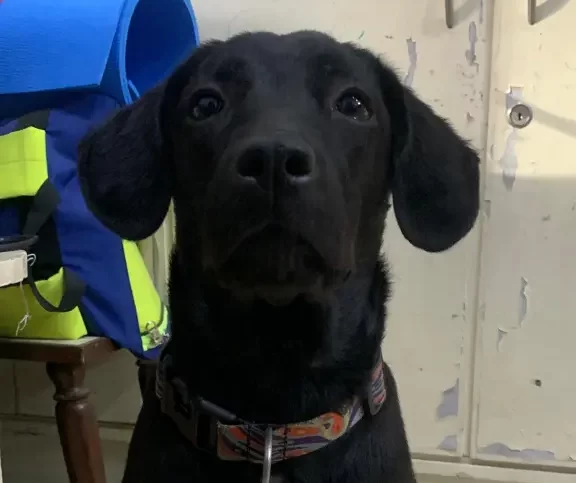 image_Deepak Sukhadia