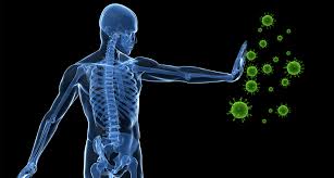 image_Deepak Sukhadia